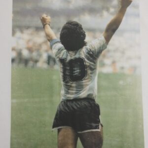 Diego Maradona Campeon