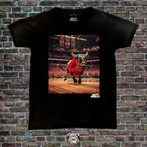 Chicago Bulls Toro (NBA)